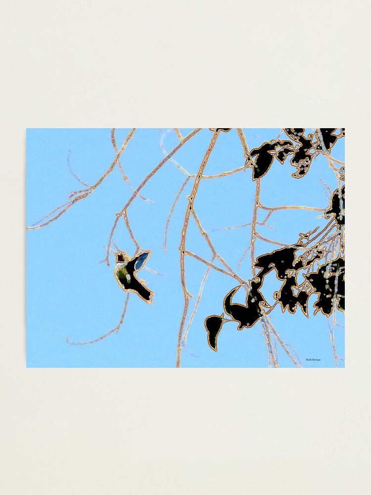 Alternate view of Flying Hummingbird Art Photographic Print