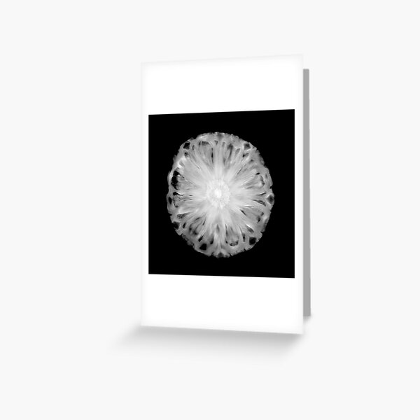 Pineapple Greeting Card