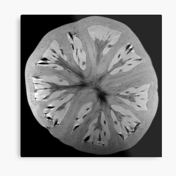 Tomato Metal Print