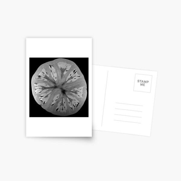Tomato Postcard