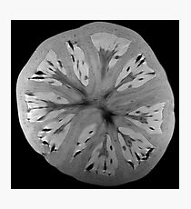 Tomato Photographic Print