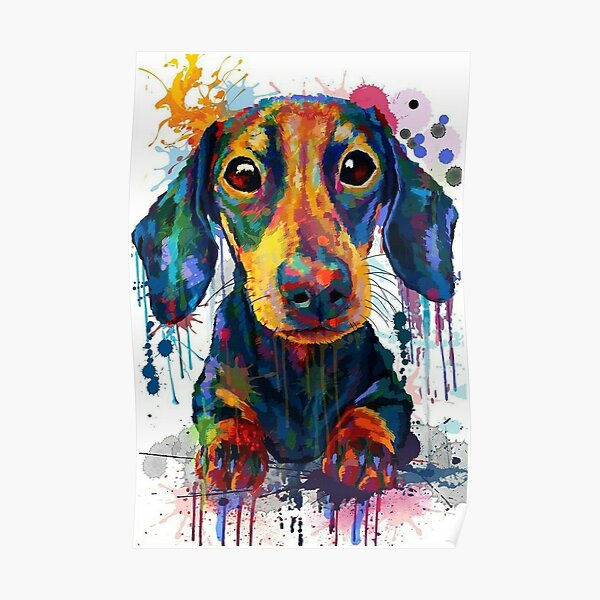 Dachshund Dog Art Poster