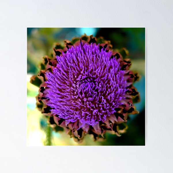 Item preview, Artichoke flower designed and sold by bernwebb.