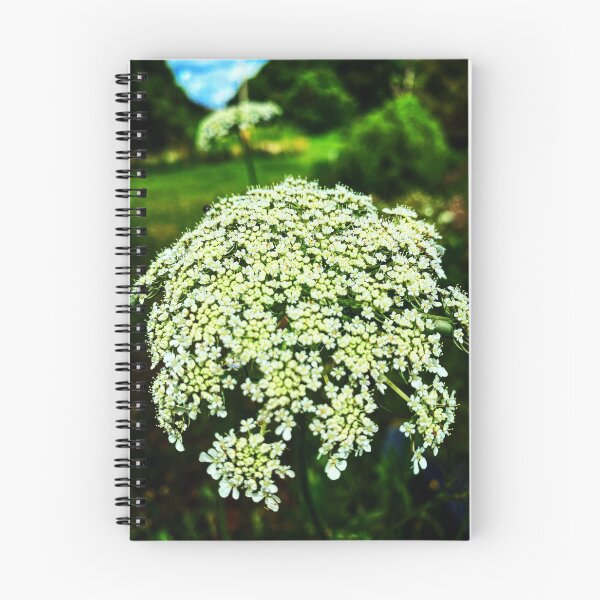 Item preview, Queen Anne's Lace designed and sold by WayneWise.
