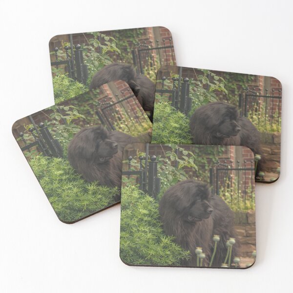 Item preview, Newfoundland Dog in Garden designed and sold by shane22.