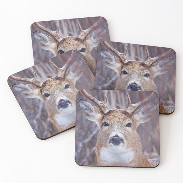 Item preview, Buck Portrait  designed and sold by Vargulich.