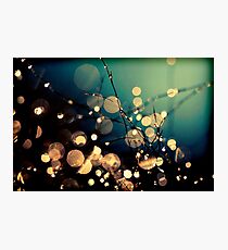 Fairies in my garden Photographic Print