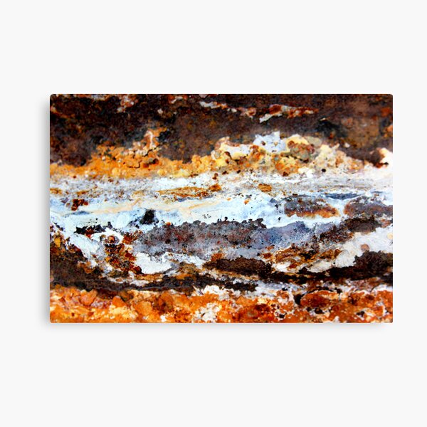 Typhoon Canvas Print