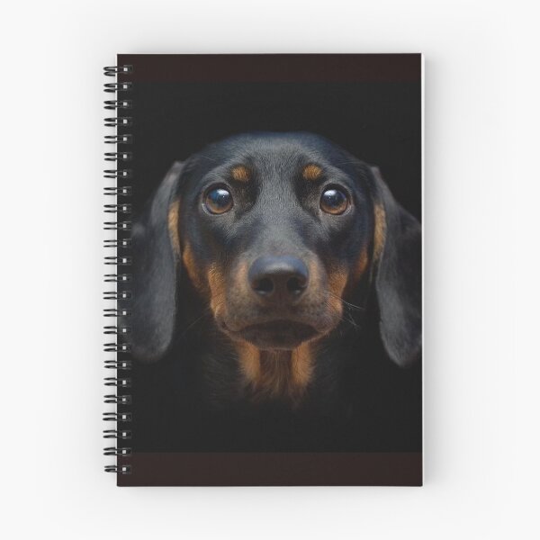 Artikelvorschau, Dackel Hund Foto Porträt entworfen und verkauft von Coolstuff4you71.