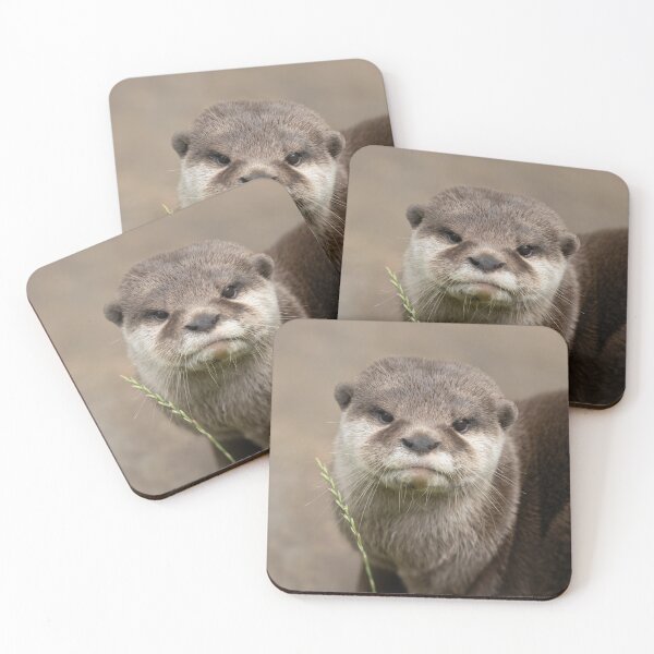 Item preview, Otter's Gaze designed and sold by rawshutterbug.
