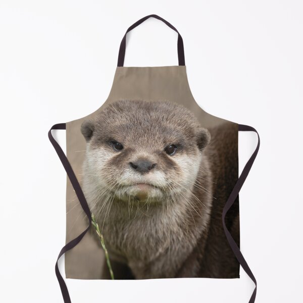 Item preview, Otter's Gaze designed and sold by rawshutterbug.