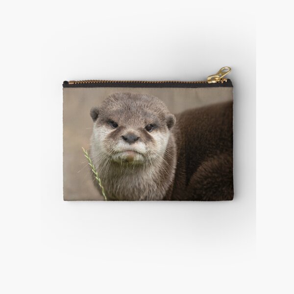 Item preview, Otter's Gaze designed and sold by rawshutterbug.