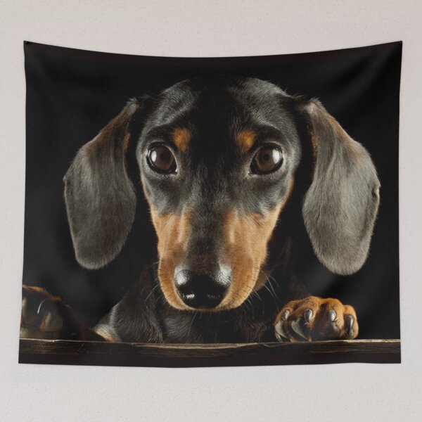 Item preview, Dachshund Dog photo portrait designed and sold by Coolstuff4you71.