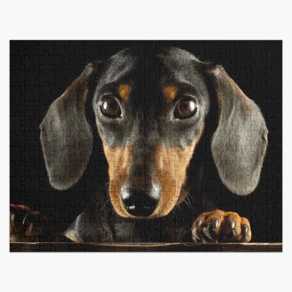 Item preview, Dachshund Dog photo portrait designed and sold by Coolstuff4you71.