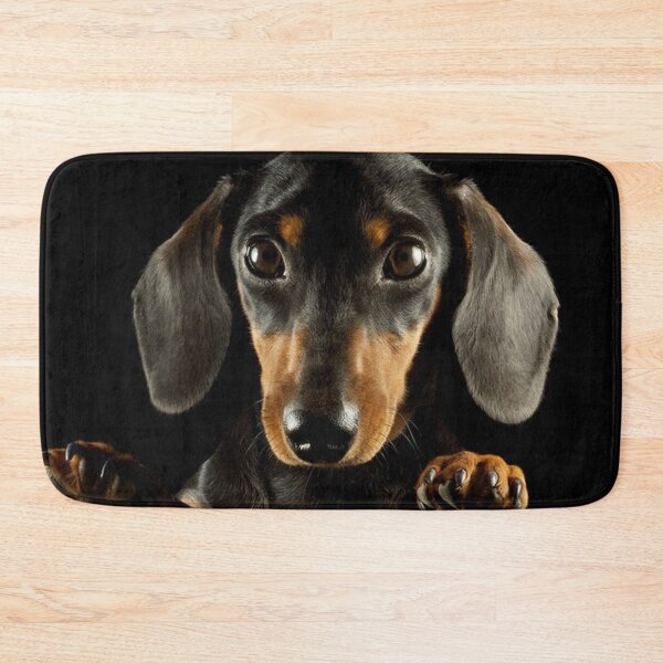 Item preview, Dachshund Dog photo portrait designed and sold by Coolstuff4you71.