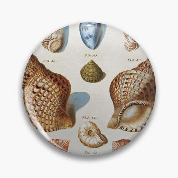 Item preview, Franz Michael Regenfuss - A Selection Of Seashells designed and sold by artcenter.