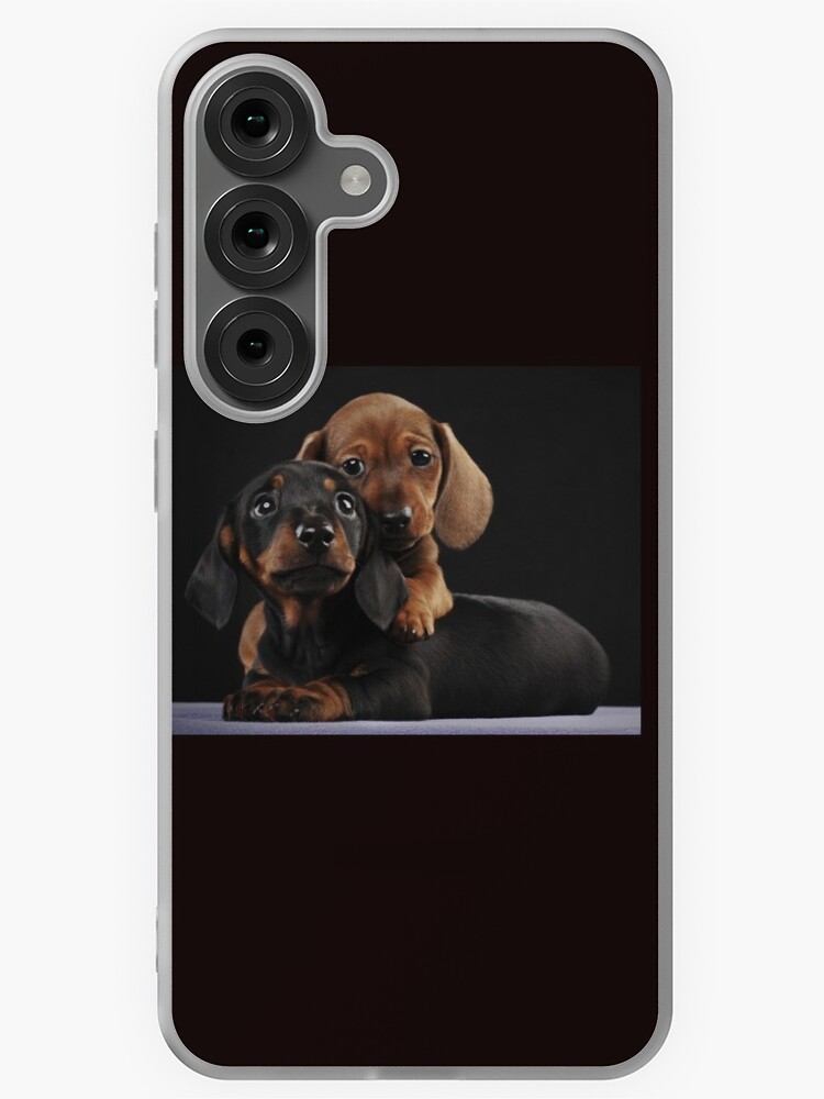 Dachshund Dog portrait photo pupies