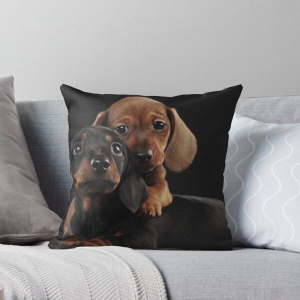 Item preview, Dachshund Dog portrait photo pupies designed and sold by Coolstuff4you71.