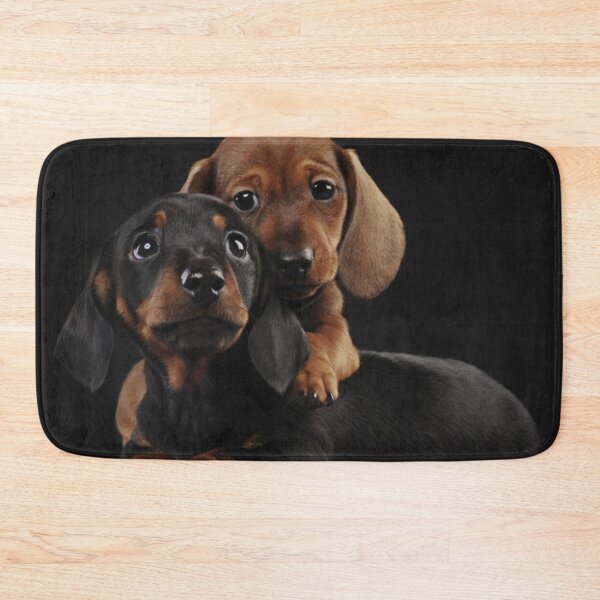 Item preview, Dachshund Dog portrait photo pupies designed and sold by Coolstuff4you71.