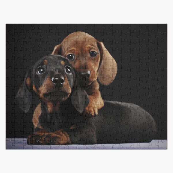 Vista previa del artículo con la obra «Cachorros de foto de retrato de perro Dachshund», diseñado y vendido por Coolstuff4you71.