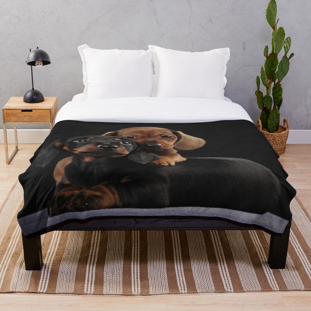 Dachshund Dog portrait photo pupies Throw Blanket