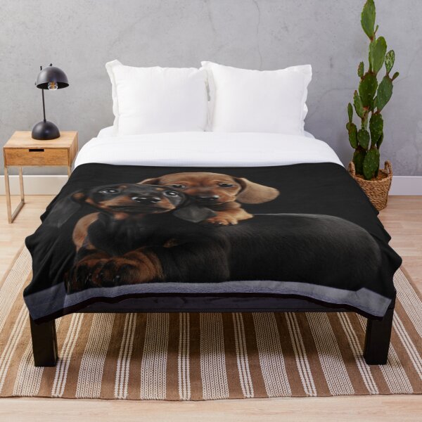 Dachshund Dog portrait photo pupies Throw Blanket