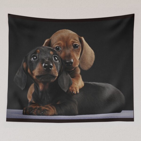 Item preview, Dachshund Dog portrait photo pupies designed and sold by Coolstuff4you71.