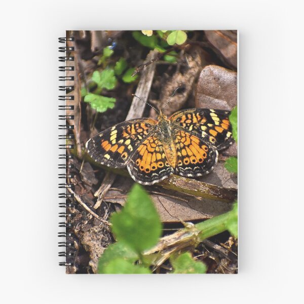 Item preview, Pearl Crescent Butterfly  designed and sold by RoxanneG.