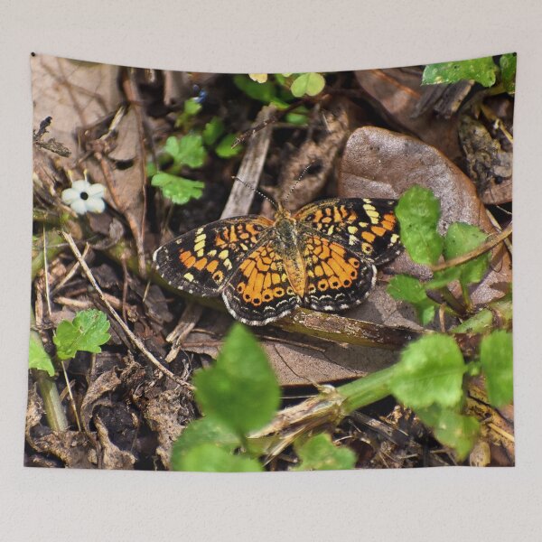 Item preview, Pearl Crescent Butterfly  designed and sold by RoxanneG.