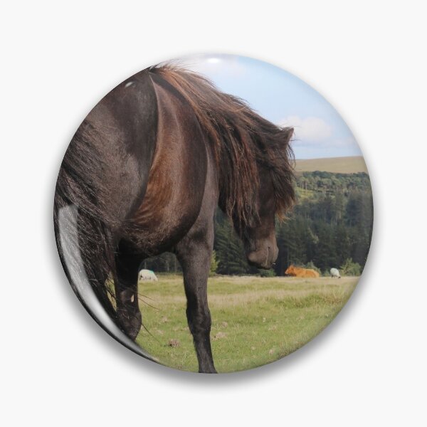 Item preview, Dartmoor Pony designed and sold by DanaAndTheBooks.