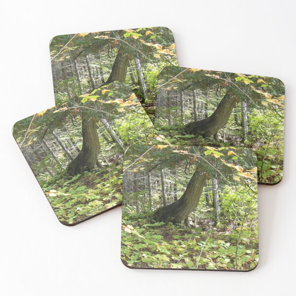 Item preview, Conspiratorial Tree designed and sold by PeaceofNShore.