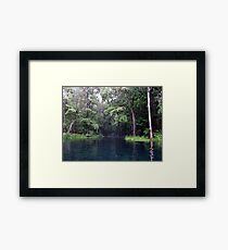 Tranquil Framed Print