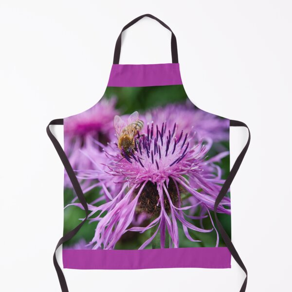 Item preview, Wig Knapweed with a bee 2 designed and sold by Jouko Lehto Photography.
