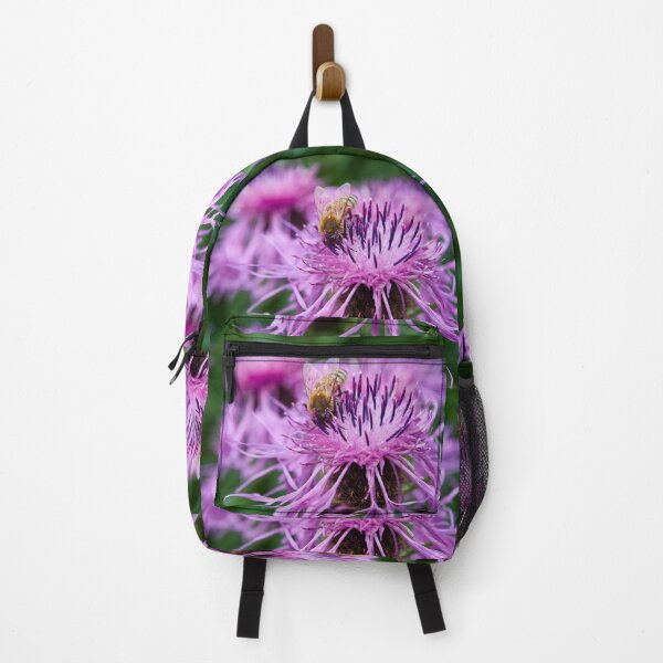 Item preview, Wig Knapweed with a bee 2 designed and sold by Jouko Lehto Photography.