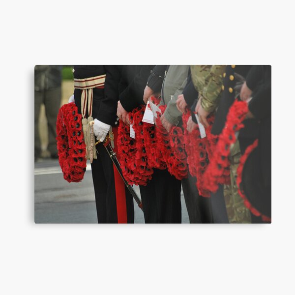 poppies forever Metal Print