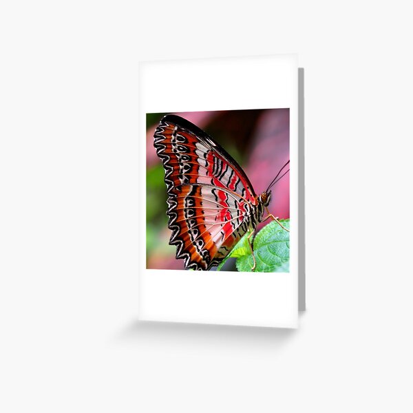 Item preview, Red Butterfly designed and sold by Moni3572.