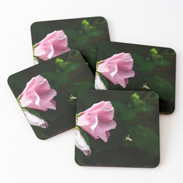 Item preview, Sweet Bee on Approach  designed and sold by SRosuphotos.