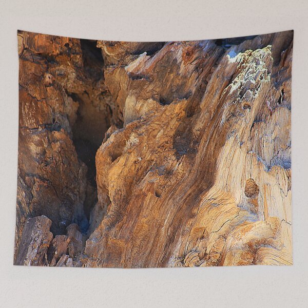 Item preview, Driftwood Detail Weathered Wood Texture designed and sold by Anna Lemos.