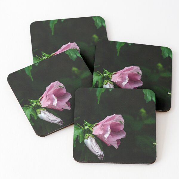 Item preview, Social Distancing Bees designed and sold by SRosuphotos.