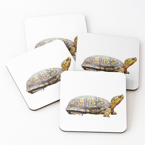 Item preview, Box Turtle designed and sold by Calluna-Artis.