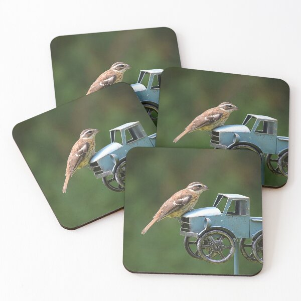 Item preview, Female Grosbeak designed and sold by NicoleFrederick.