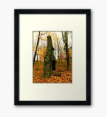 Stone Chimney on Big Pine Road Framed Print