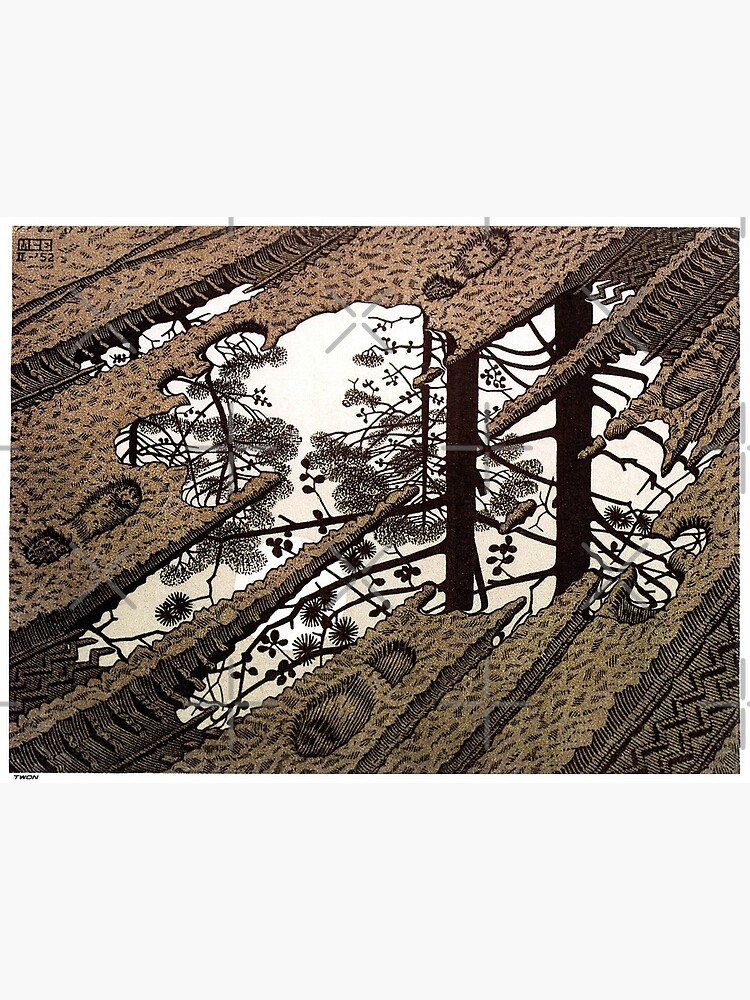 Escher - Puddle by Pikokk