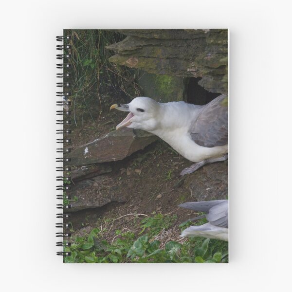 Item preview, Fulmar designed and sold by LaurenTucker.