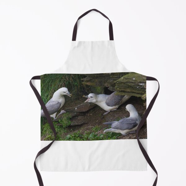 Item preview, Fulmar designed and sold by LaurenTucker.