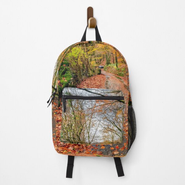 Item preview, Autumn Colours Snowdonia designed and sold by AJEvans.