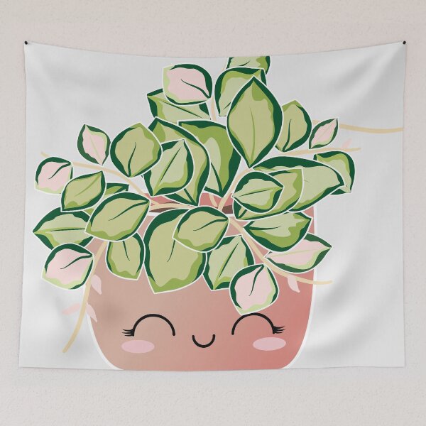 Item preview, hoya heuschkeliana variegata designed and sold by GelsGarden.