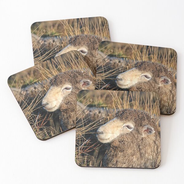 Item preview, Dirty sheep designed and sold by Photopat.