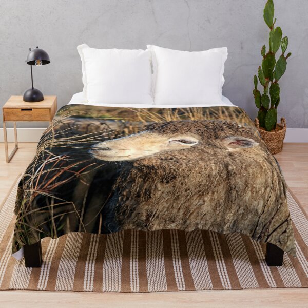 Item preview, Dirty sheep designed and sold by Photopat.