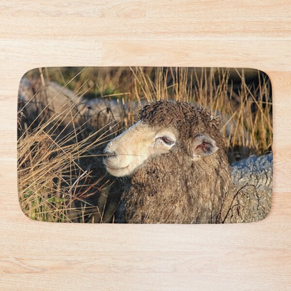 Item preview, Dirty sheep designed and sold by Photopat.